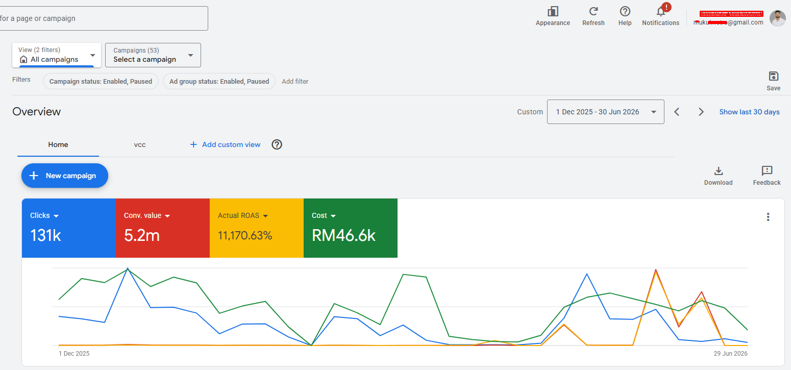Google Ads Management result screenshot 2 — dashboard performance data